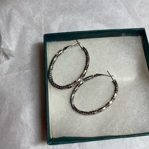 Elegant Silver Hoop Earrings